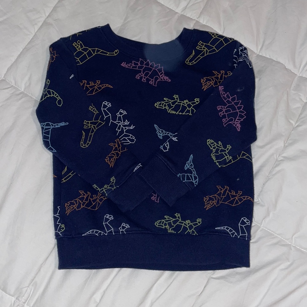 Dino sweatshirt.  Cat and Jack 3T.